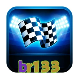 br133